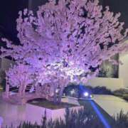 ヒメ日記 2025/03/27 14:04 投稿 わかな やMAT撫子