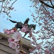 ヒメ日記 2025/04/18 13:28 投稿 わかな やMAT撫子