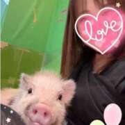 ヒメ日記 2025/04/24 21:01 投稿 わかな やMAT撫子