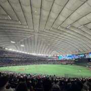 ヒメ日記 2025/06/25 17:01 投稿 わかな やMAT撫子