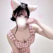 ヒメ日記 2025/03/03 18:29 投稿 のあ Tokyo fairy land-東京フェアリーランド-