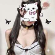 ヒメ日記 2025/03/16 05:16 投稿 のあ Tokyo fairy land-東京フェアリーランド-