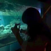 ヒメ日記 2025/07/16 02:01 投稿 にこ KIREI（五反田）