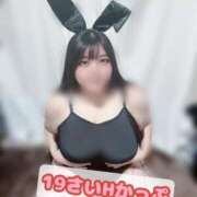 ヒメ日記 2026/07/25 18:15 投稿 にこ KIREI（五反田）