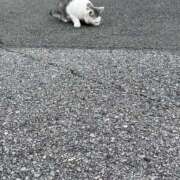 ヒメ日記 2025/11/18 23:27 投稿 あきら 船橋悶絶ビーチクびんびん物語