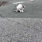 ヒメ日記 2026/02/02 21:47 投稿 あきら 船橋悶絶ビーチクびんびん物語