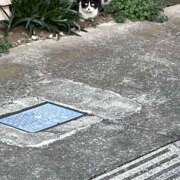 ヒメ日記 2026/02/15 20:47 投稿 あきら 船橋悶絶ビーチクびんびん物語