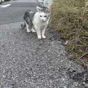 あきら 出勤ノス 船橋悶絶ビーチクびんびん物語