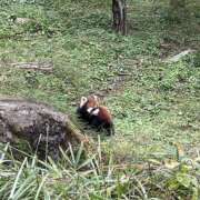 ヒメ日記 2026/04/04 09:37 投稿 あきら 船橋悶絶ビーチクびんびん物語