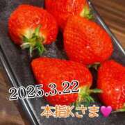 ヒメ日記 2025/03/23 23:17 投稿 せな 西川口こんにちわいふ（シンデレラグループ）