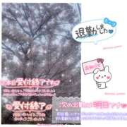 ヒメ日記 2025/04/11 01:30 投稿 ただいま★プニプニ爆乳『 杏ちゃん』 ママにおまかせ「マニアック専科」