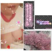 ヒメ日記 2026/03/19 17:00 投稿 ただいま★プニプニ爆乳『 杏ちゃん』 ママにおまかせ「マニアック専科」