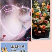 ヒメ日記 2026/05/23 08:16 投稿 ただいま★プニプニ爆乳『 杏ちゃん』 ママにおまかせ「マニアック専科」