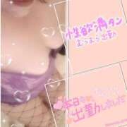 ヒメ日記 2026/05/29 14:38 投稿 ただいま★プニプニ爆乳『 杏ちゃん』 ママにおまかせ「マニアック専科」