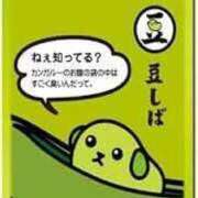 もか ねぇ知ってる？ スイカ