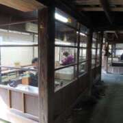 ヒメ日記 2025/03/28 17:12 投稿 Ayami Imai ELEGANT－エレガント－