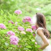 ヒメ日記 2025/05/16 18:48 投稿 Ayami Imai ELEGANT－エレガント－