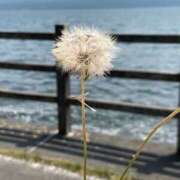 ヒメ日記 2025/06/13 21:49 投稿 Ayami Imai ELEGANT－エレガント－