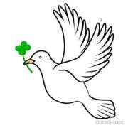 ヒメ日記 2025/07/11 18:43 投稿 Ayami Imai ELEGANT－エレガント－