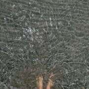 ヒメ日記 2025/07/20 00:06 投稿 Ayami Imai ELEGANT－エレガント－