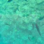 ヒメ日記 2025/07/28 18:07 投稿 Ayami Imai ELEGANT－エレガント－