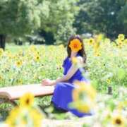 ヒメ日記 2025/08/03 08:33 投稿 Ayami Imai ELEGANT－エレガント－