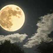 ヒメ日記 2025/10/06 08:59 投稿 Ayami Imai ELEGANT－エレガント－