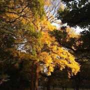 ヒメ日記 2025/10/30 17:36 投稿 Ayami Imai ELEGANT－エレガント－