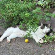 ヒメ日記 2025/11/01 12:40 投稿 Ayami Imai ELEGANT－エレガント－