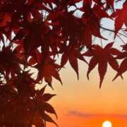 ヒメ日記 2025/12/01 18:19 投稿 Ayami Imai ELEGANT－エレガント－