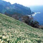 ヒメ日記 2026/01/24 12:17 投稿 Ayami Imai ELEGANT－エレガント－