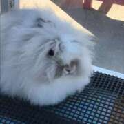 ヒメ日記 2026/02/21 18:37 投稿 Ayami Imai ELEGANT－エレガント－