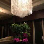 ヒメ日記 2026/03/11 15:12 投稿 Ayami Imai ELEGANT－エレガント－