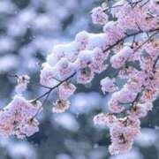 ヒメ日記 2026/03/16 23:29 投稿 Ayami Imai ELEGANT－エレガント－