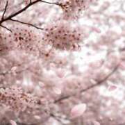 ヒメ日記 2026/03/31 21:29 投稿 Ayami Imai ELEGANT－エレガント－