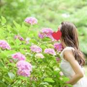ヒメ日記 2026/07/06 13:27 投稿 Ayami Imai ELEGANT－エレガント－