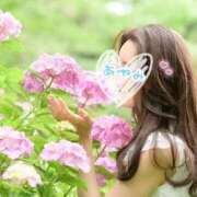 Ayami Imai 7月 &  8月 スケジュール💗 ELEGANT－エレガント－