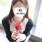 Ayami Imai 有るが難し ELEGANT－エレガント－