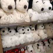 ヒメ日記 2025/11/19 15:27 投稿 まいこ デリトップ