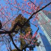 ヒメ日記 2025/02/21 19:23 投稿 ほなみ 千葉人妻花壇