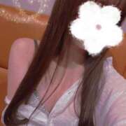 ヒメ日記 2025/02/13 19:23 投稿 はつね ビギナーズ神戸