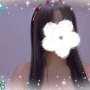 ヒメ日記 2025/06/19 18:59 投稿 はつね ビギナーズ神戸