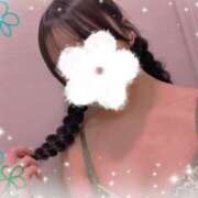 ヒメ日記 2025/08/09 19:01 投稿 はつね ビギナーズ神戸