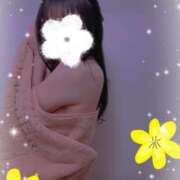 ヒメ日記 2025/12/14 19:01 投稿 はつね ビギナーズ神戸