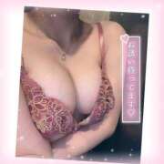 ヒメ日記 2025/04/05 14:28 投稿 橋口　すず YUDEN〜油殿〜谷九・日本橋店