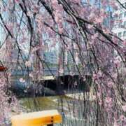 ヒメ日記 2025/04/06 08:40 投稿 ちえみ 完熟ばなな 上野店