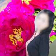 ヒメ日記 2025/04/14 08:20 投稿 ちえみ 完熟ばなな 上野店