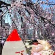 ヒメ日記 2025/04/15 10:50 投稿 ちえみ 完熟ばなな 上野店