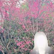 ヒメ日記 2026/01/25 06:46 投稿 ちえみ 完熟ばなな 上野店