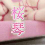 ヒメ日記 2025/04/12 00:02 投稿 桜琴(ミコ) 大阪痴女性感フェチ倶楽部